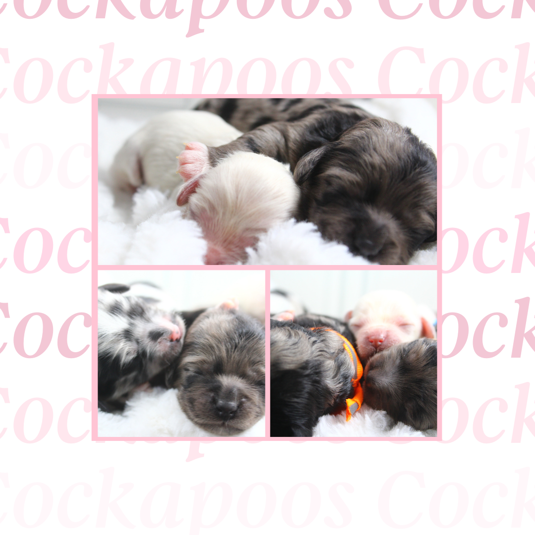 Company Updates -  December 18, 2025