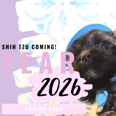 BIG ANNOUNCEMENT: The Future of Hart’s Precious Pups – Coming 2025!